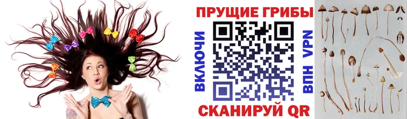 Галлюциногенные грибы MAGIC MUSHROOMS  hydra зеркало  Томилино 